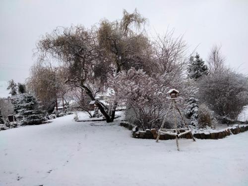 a snow covered yard with a tree and a bird house at Pod Piramidą in Ługniany