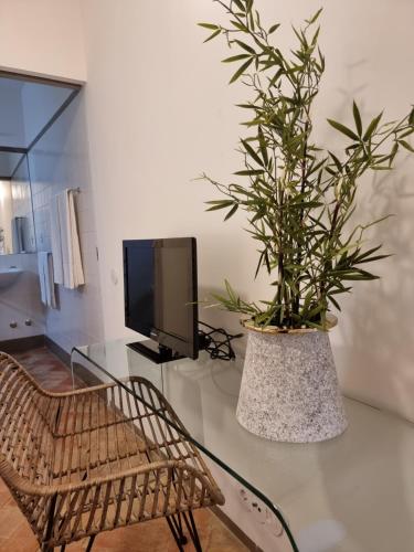 a living room with a table with a tv and a plant at Casa Algarbe in Faro