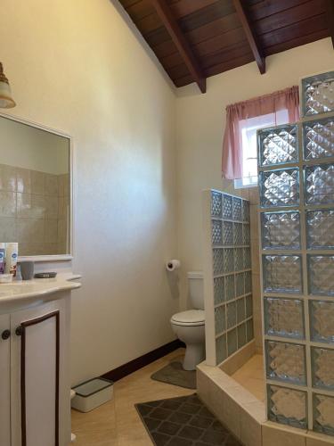 ‘JASPER’ Private Room with shared bathroom في سانت فيليب: حمام مع مرحاض ومغسلة