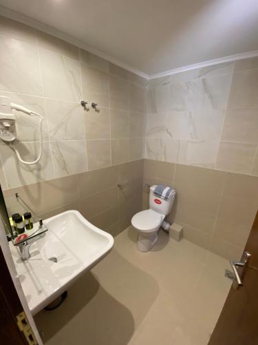 een badkamer met een wit toilet en een wastafel bij Hotel Platon Beach in Olympiakí Aktí