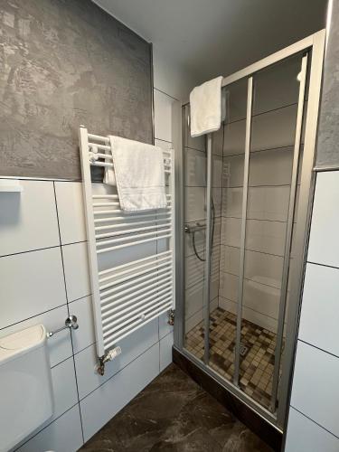 a shower with a glass door in a bathroom at Ferienwohnungen Rothaarglück in Schmallenberg