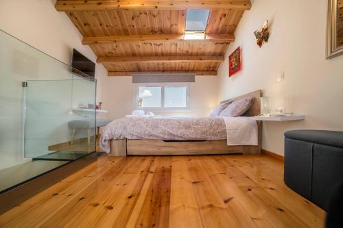a bedroom with a bed and a glass shower at CHRISAVGI'S LUXURY HOUSE in Mantoúkion