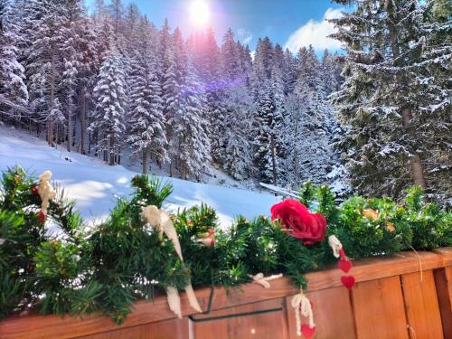 Το Appartamento Campiglio 2 τον χειμώνα