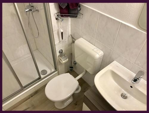 ein Bad mit einem WC, einer Dusche und einem Waschbecken in der Unterkunft Apartment EULE - Gute-Nacht-Braunschweig in Braunschweig