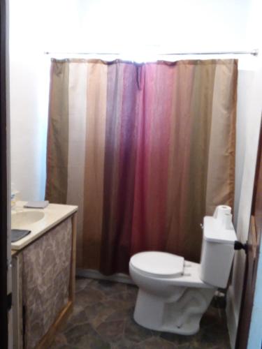 a bathroom with a toilet and a shower curtain at Hemlock House in Ironwood