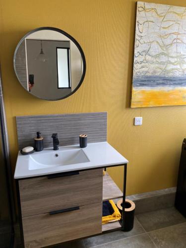 ein Bad mit einem Waschbecken und einem Spiegel in der Unterkunft Magnifique appartement au coeur de Mulhouse in Mulhouse