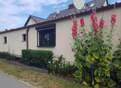 Κήπος έξω από το Ferienhaus an der Ostsee