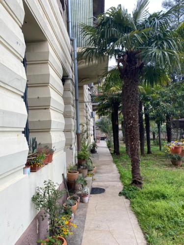 Apartman Tia