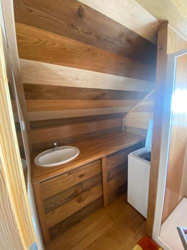 baño con paredes de madera y lavabo en Apartmán U Splavu Putim, en Putím