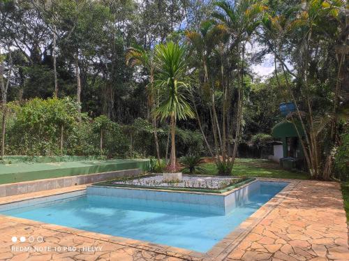a swimming pool in a garden with a palm tree at La Bella Fiore in São Roque