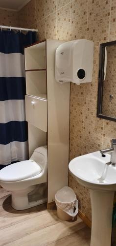 a bathroom with a toilet and a sink at El Capitán in Puerto Montt
