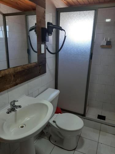 La salle de bains est pourvue de toilettes, d'un lavabo et d'une douche. dans l'établissement Curanipe: primera linea de playa., à Curanipe