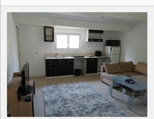 un salon avec un canapé et une cuisine dans l'établissement appart hôtel avec jardin, à Cuers
