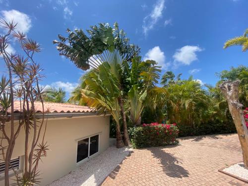 Κήπος έξω από το Home Sweet Home Jan Thiel Curacao best view