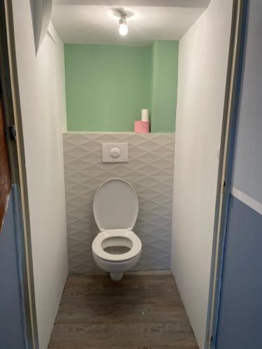 une salle de bain avec toilettes dans une petite pièce dans l'établissement logement entier proche centre ville et circuit, au Mans