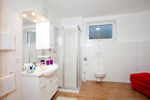 レンゲンフェルトにあるAppartment Christineのバスルーム(シャワー、洗面台、トイレ付)