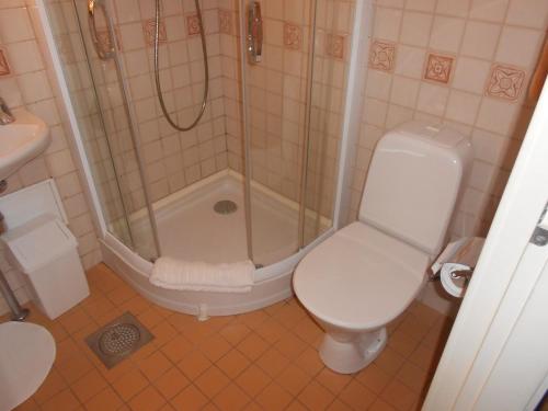 a bathroom with a shower and a toilet and a sink at Poska Villa Guesthouse in Tallinn