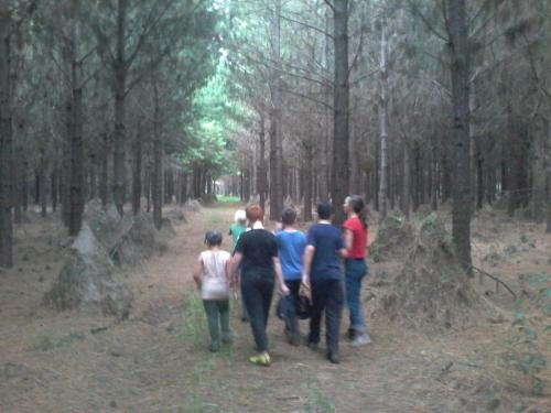 Hospedagem do Sítio Preserva – Photos 3