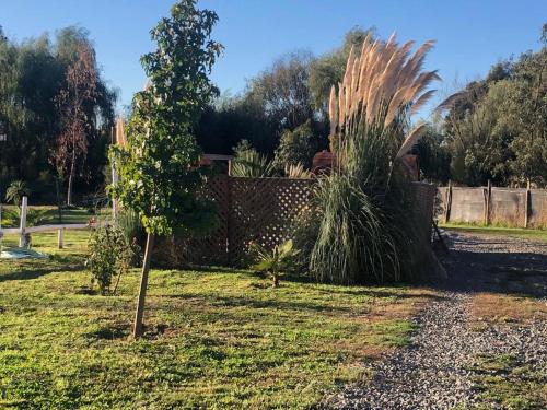 Jardin de l'établissement Cabañas Terra Nova Colbun Machicura