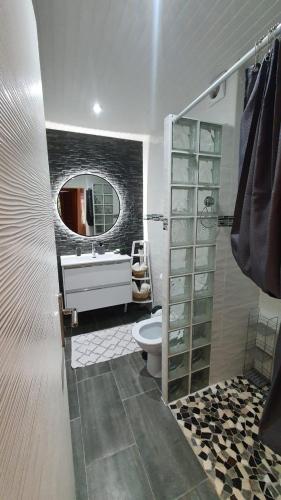 a bathroom with a sink and a toilet and a mirror at Studio havre aux hibiscus avec piscine proche de la mer in Sainte-Anne