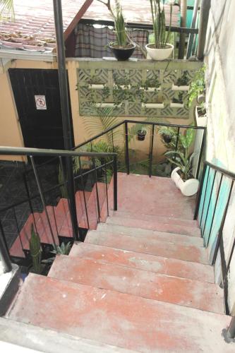 a set of stairs with potted plants on a balcony at Hostal Nicaragua Guest House in Managua