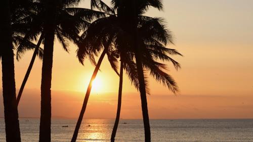 a group of palm trees on the beach at sunset at Lombok Private Villa Estate in Ketapang