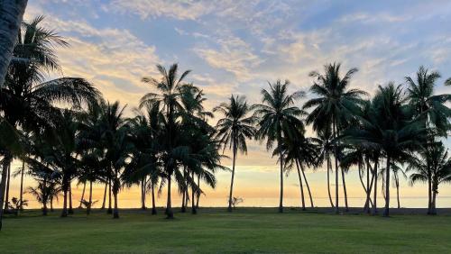 a group of palm trees in a field at sunset at Lombok Private Villa Estate in Ketapang