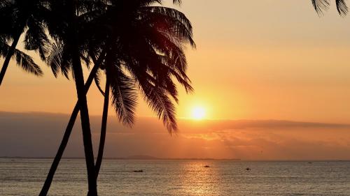 a sunset over the ocean with a palm tree at Lombok Private Villa Estate in Ketapang