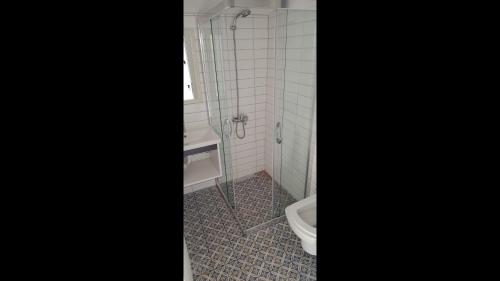 a bathroom with a shower and a toilet at Room in Apartment - Kadinlar Denizi Ev 31 in Aydın