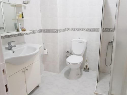 a bathroom with a toilet and a sink and a shower at 2 munites walk to Ladies Beach in Aydın