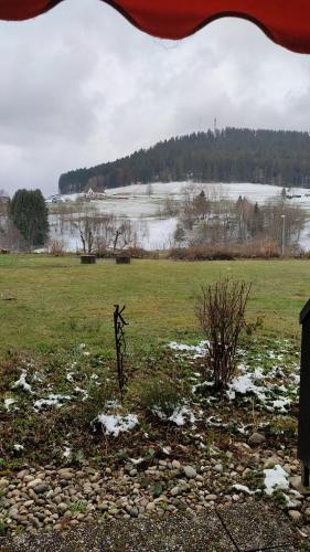 a field with snow on the grass and a lake at Erholsame 2 Zimmer FeWo mit King-Size-Bett, Pool und Stellplatz in Baiersbronn