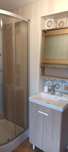 a bathroom with a sink and a shower at Gite o vert in Malleville-sur-le-Bec