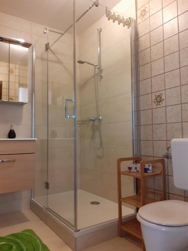 prysznic ze szklanymi drzwiami w łazience w obiekcie Haus Gertrude Hörack w mieście St. Wolfgang