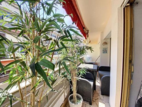 Imperial Croisette FER3417 studio