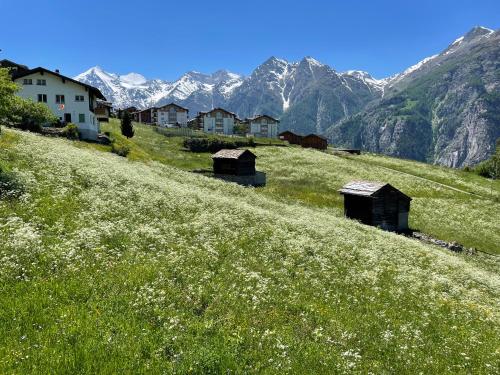 a grassy hill with houses on the side of a mountain at Schwarzhornblick in Grächen