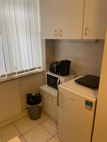a kitchen with a microwave on top of a refrigerator at Studio Larla in Crikvenica