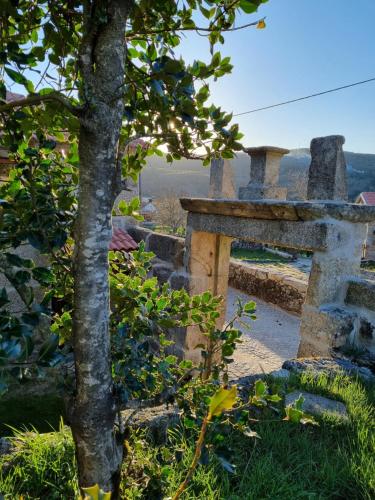 a stone bench with a tree in the foreground at Casa da Relva Experiência Temática Inspirada em Harry Potter in Lamego