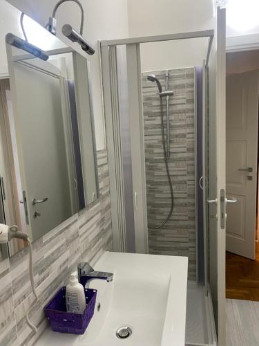 ein Bad mit einem Waschbecken und einer Dusche in der Unterkunft VillaGiò B&B in Frascati