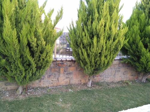 three christmas trees in front of a brick wall at Dimitris Vaso’s Villa with Sea and Mountain View! in Aliveri