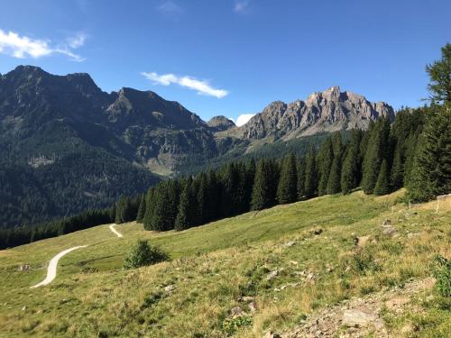 a grassy hill with trees and mountains in the background at Eco-Baita Natura Spensierata in Canale San Bovo