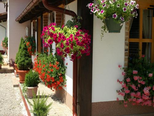 a bunch of flowers in pots on the side of a building at Bed & Breakfast Helena in Grabovac