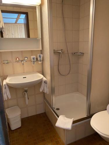 A bathroom at Hotel Steinbock