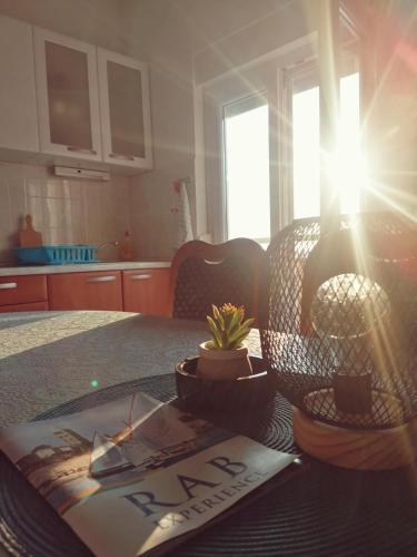 a kitchen with a table with a potted plant on it at Apartments and boat rental Petra Španjol - crane and moorings in Banjol