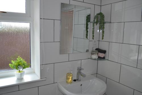 uma casa de banho branca com um lavatório e um espelho em Number 1 Lytton Tree Lodge em Reydon