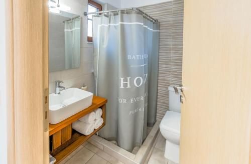 a bathroom with a shower with a sink and a toilet at Aloustina Apartments in Archangelos