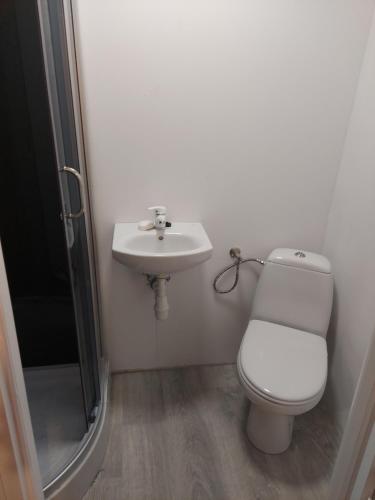 a bathroom with a toilet and a sink at Słoneczny domek ze stawem i wędkowaniem in Żdżary