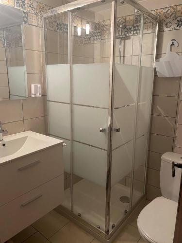 une salle de bain avec une douche avec un lavabo et des toilettes dans l'établissement 6MIR17 - Chaleureuse maison de pêcheurs idéalement située, à Collioure