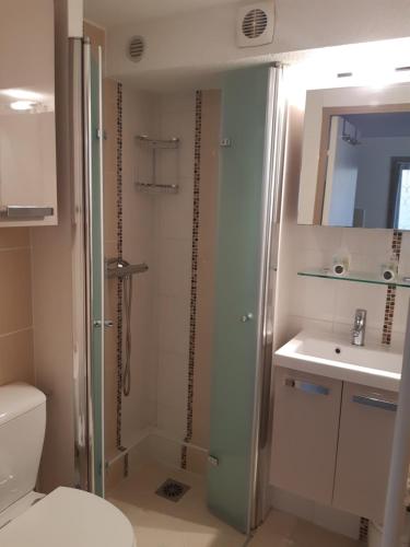 y baño con ducha, aseo y lavamanos. en Pavillon 4/6 pers. 30 m² Gruissan Les Ayguades en Gruissan