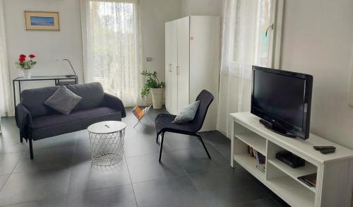 uma sala de estar com um sofá e uma televisão em Casa Viola Vicenza Park Free em Vicenza
