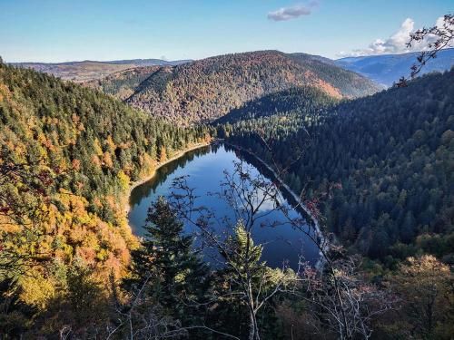 Un lac au milieu d'une forêt dans l'établissement Voie Verte, à Cornimont